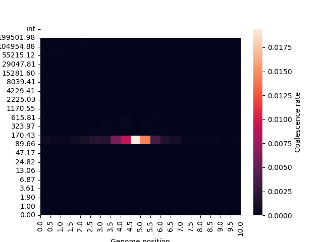 Coalescence rates over time and space