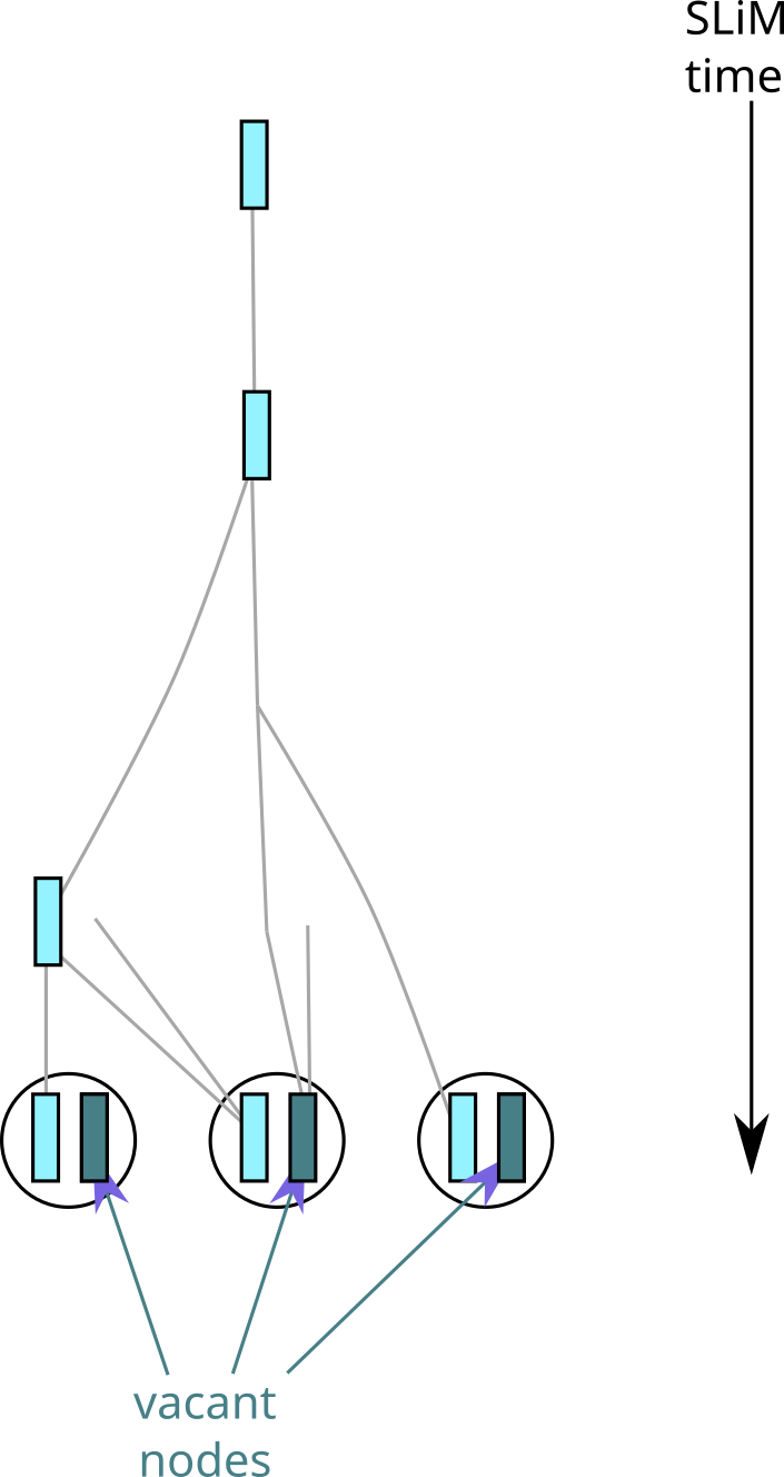 _images/pedigree_hap.png