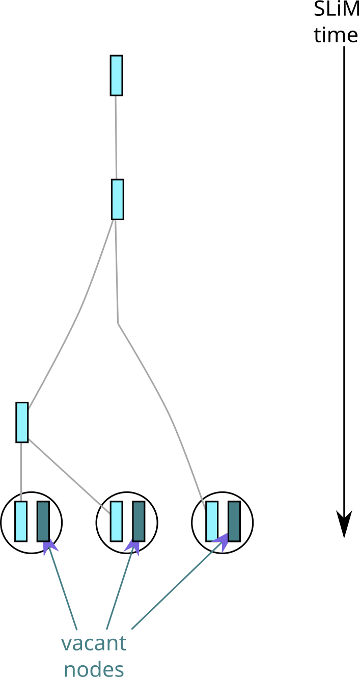 _images/pedigree_hap.png